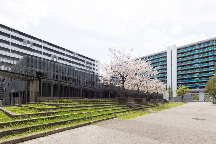 5号棟前広場：春には桜がさく公園のような広場