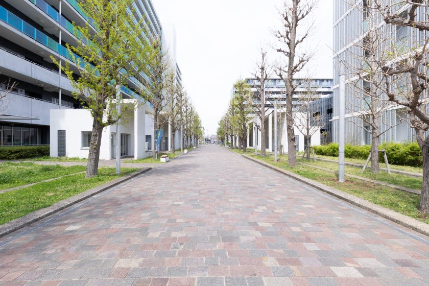 いちょう通り（北）：左右にいちょうが植栽された街の方が多く通るメインストリート