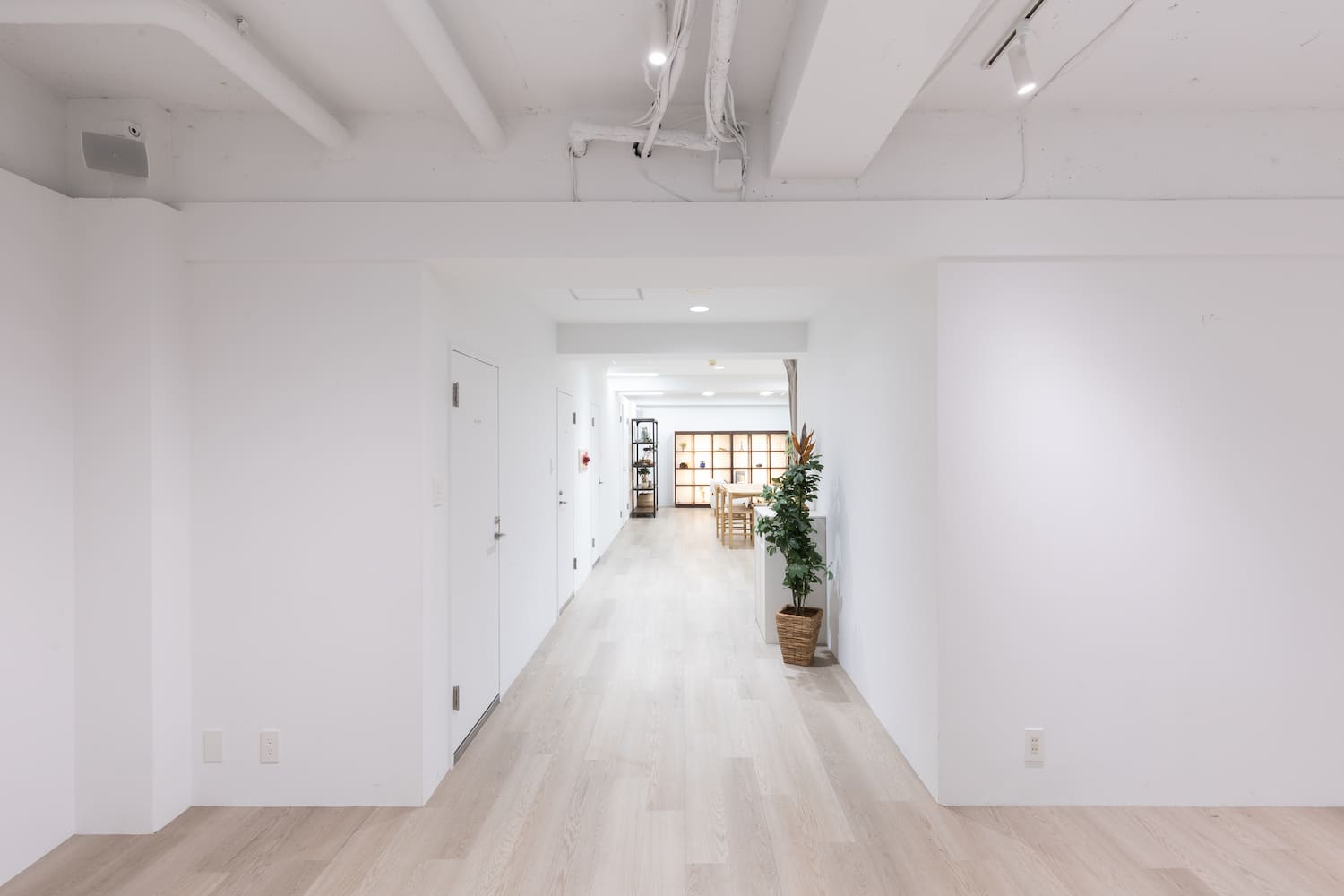 北参道店 -ROADSIDE-